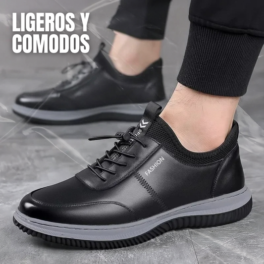 gid://shopify/MediaImage/24566350512222