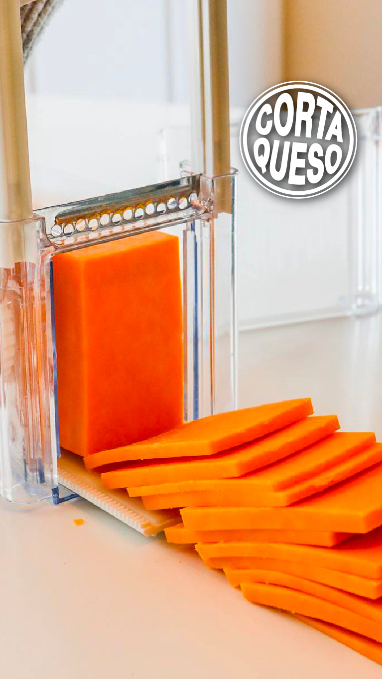 gid://shopify/MediaImage/24579376873566